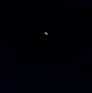 Meet your Posher, Fatima